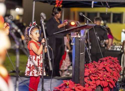 Light Up North Miami