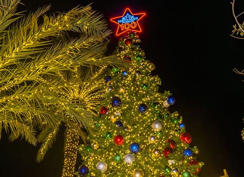 Light Up North Miami