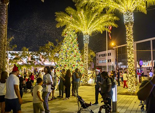 Light Up North Miami