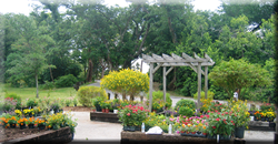 Enchanted Forest Elaine Gordon Community Center