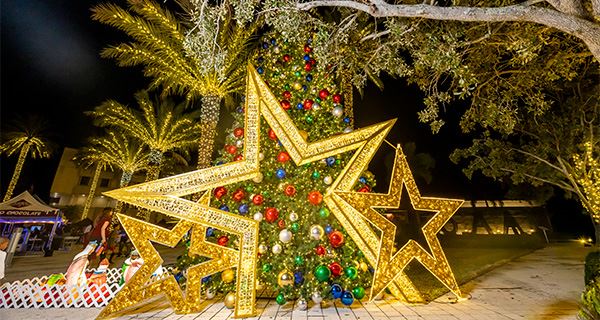 Light Up North Miami